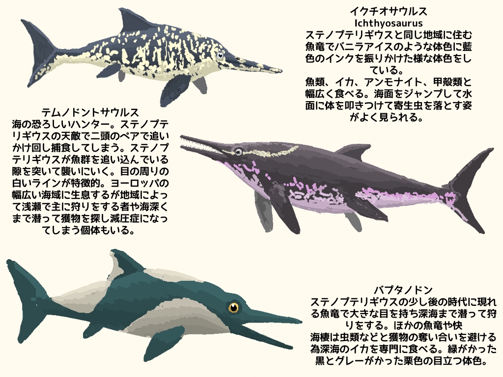 はししも 魚竜 ステノプテリギウスについて観察して分かったことをまとめました イルカと収斂進化したは虫類です イルカの方が後輩だけど 恐竜時代にいた生き物です 古生物 イラスト T Co Kpthk0fxgf Twitter