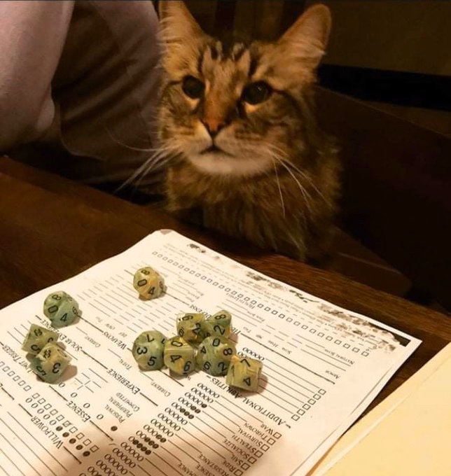 (Stolen from Facebook - but too good to ignore, so can’t take the credit for it).DM: ‘The wizard places a chalice on the table, filled with a strange smoking liquid. He cautions that this potion is incredibly dang—‘Cat: ‘I knock it over...’