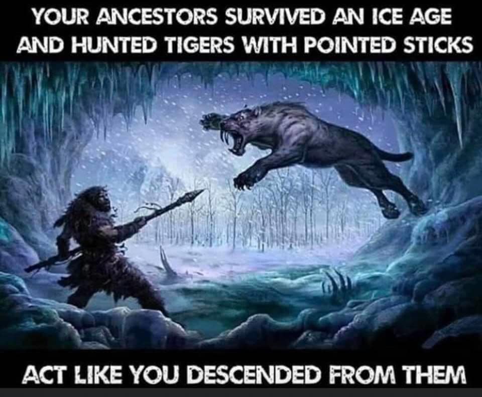 LetsTalkSurvival 🇺🇸 (@ltsurvival) on Twitter photo 