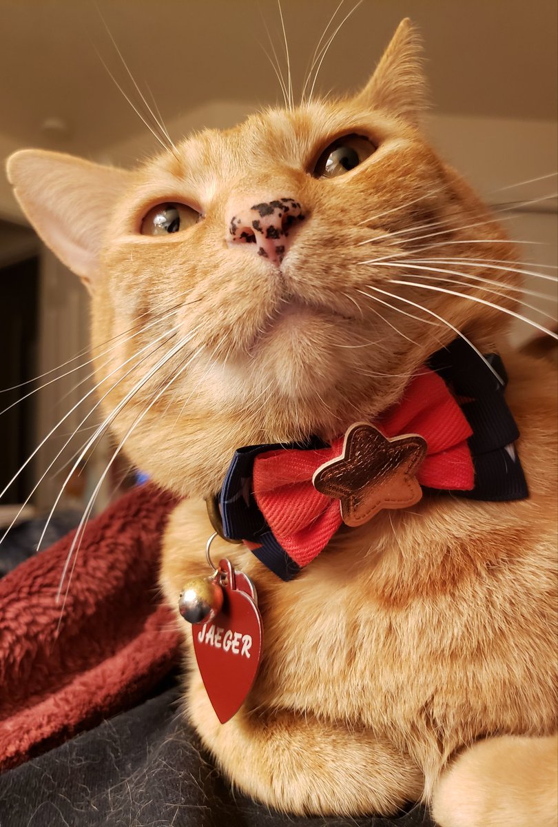 SoMuchApollo's tweet image. That face. I can't. I just can't.