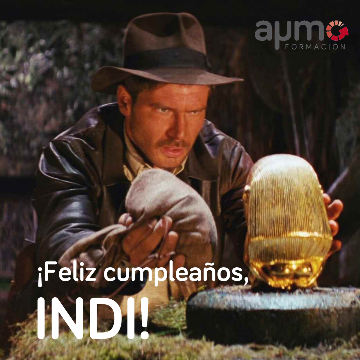 AyMoFormacion's tweet photo. ¡Feliz cumpleaños, Harrison Ford!
Siempre serás nuestro eterno #IndianaJones🤠
¿Cuál es tu personaje favorito suyo?

#StarWars #BladeRunner #FelizLunes https://t.co/1KYmR0XLlH
