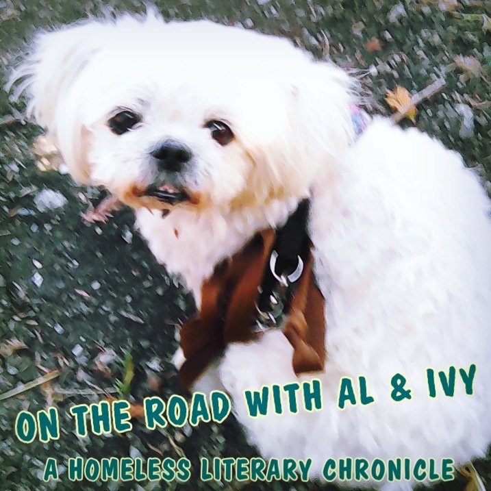 On The Road With Al and Ivy: A Homeless Literary Chronicle: June 9th, 2020. Featuring OK Boomer, Orwell on power, preppers, living off the grid, street life, Sherlock Holmes, and more illustrations! ontheroadwithalandivy.blogspot.com/2020/06/on-roa…