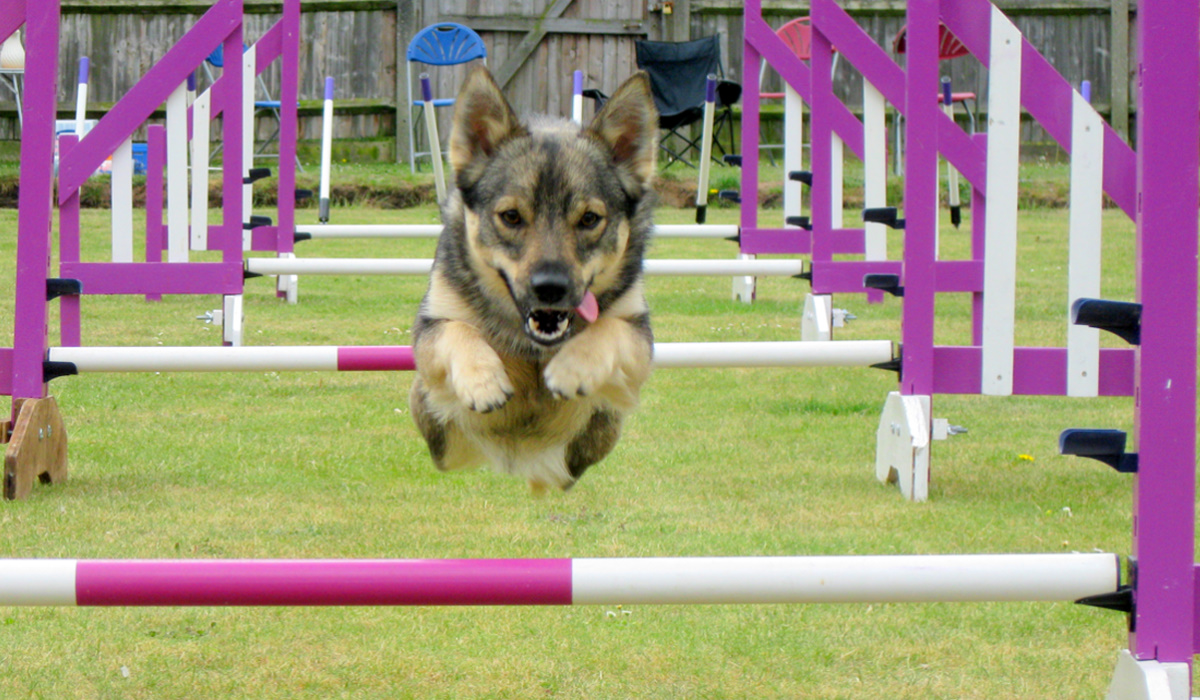 Eric J. Tinker tweet media