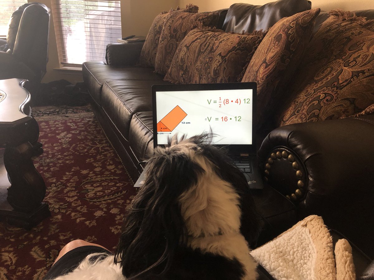 feliciahayes03's tweet photo. My zoom buddy this morning๐ Our summer school ATA teachers are fantastic! You make geometry look so easy! #CFISDSummerSchool #CFISDspirit @WatleyEDU @cfisdmath @cfisdcia https://t.co/RylI4T4dLO