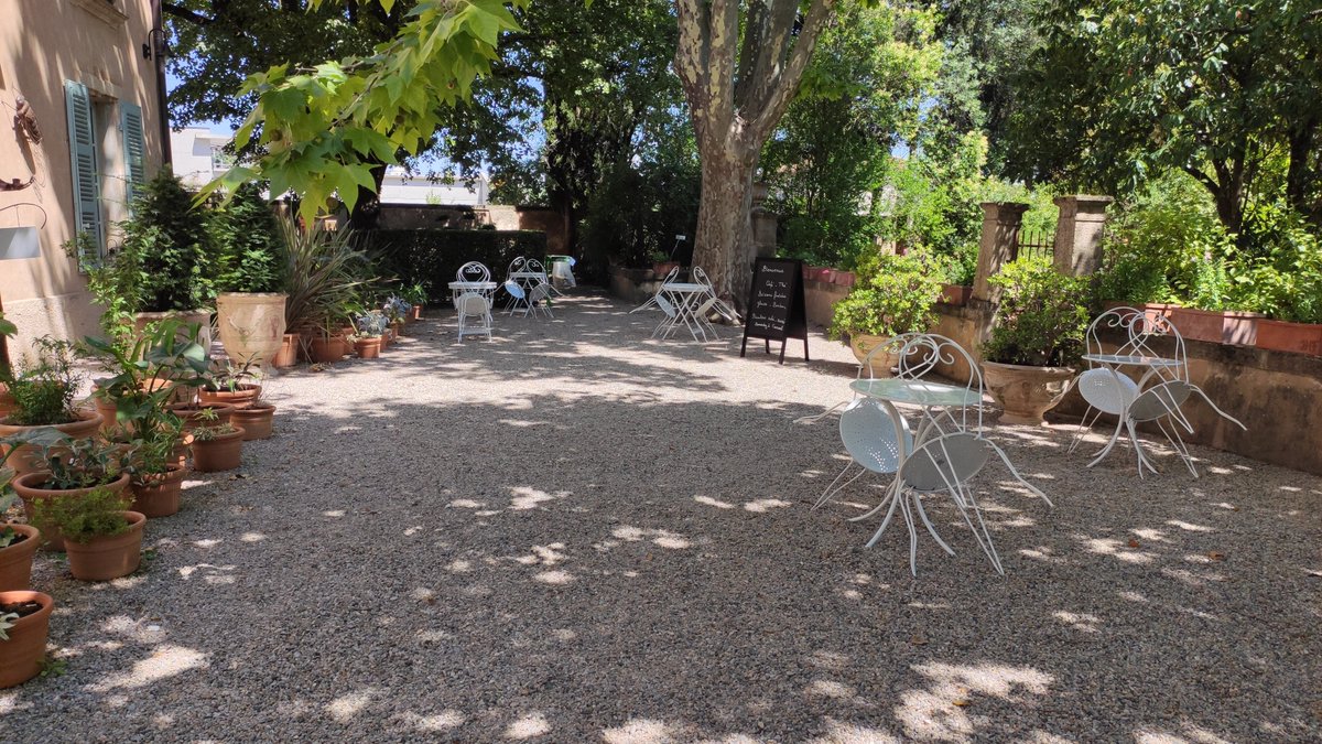 L'été est là 🌼, les cigales chantent 🦗
Nous vous donnons rendez-vous demain mardi 14 juillet de 14 h 30 à 18 h 00 à l'Harmas Jean-Henri Fabre 🌿🌸🌻🐢🐝 #mnhn #muséum #jardin #musées #histoire #découverte #JeanHenriFabre #SérignanDuComtat