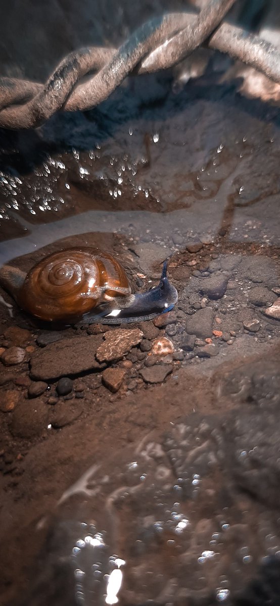 piyushunagar__7's tweet image. T 5 #mobilephotography #underwater #earh #GoPro #hobby #photography