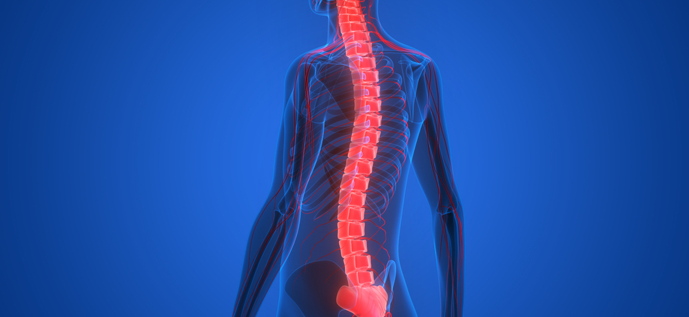 medtechonline's tweet image. PhD student develops headset to aid spinal-cord injury recovery
bit.ly/329DZXj
@UofGlasgow @HP #medtech #3dprinting #spinalinjuries