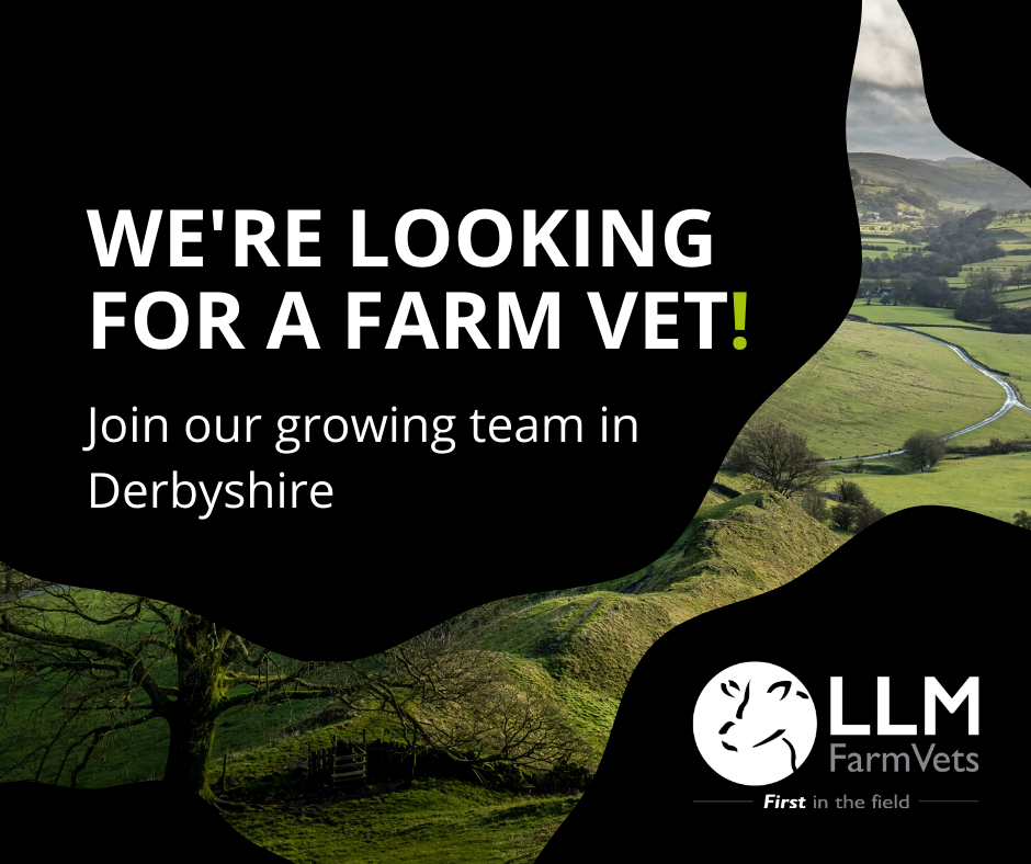 LLMVetsDerby's tweet photo. We’re looking for an experienced farm vet to join our growing team here in the beautiful Peak District.
If you are interested or know of someone who might be, please get in touch with us.
01629 691692
derbys@llmvets.co.uk
Please see our website:
https://t.co/J3GuwxhMc5 https://t.co/CsHffuAYkx