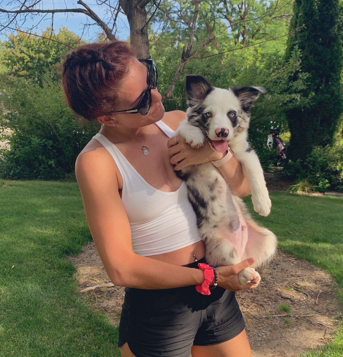 chloedygert30's tweet image. Tried to be a dog person last night.... 🤦🏽‍♀️😂 #catladyproblems