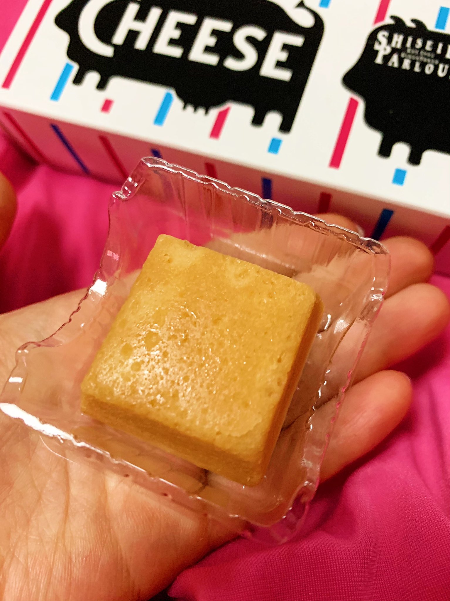 坂本あすみ 資生堂パーラー の チーズケーキ をいただいたんだけど も ものすごくチーズチーズしくて美味しかった 一見ちんまいけど チーズがギュッッッとしてて濃ゆいから とても良いサイズ感 T Co Bfvf5tvcsm Twitter