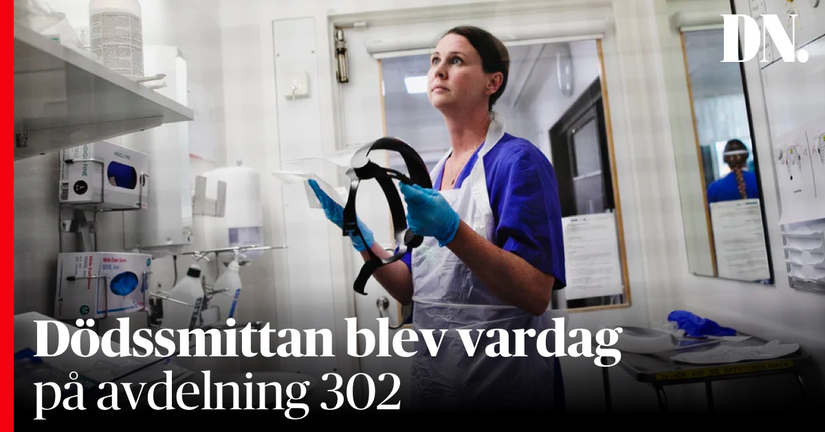 DN Göteborg tweet media