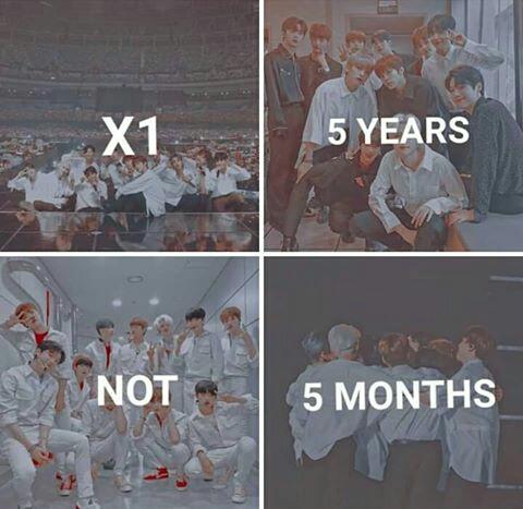 kimichi_mi's tweet photo. Todavía estoy sin superar a X1 👌 ONE-IT FOREVER ✨ #X1 #flyhighx1 #x1members #oneit #HANSEUNGWOO #CHOSEUNGYOUN #KIMWOOSEOK #KIMYOHAN #LEEHANGYUL #CHAJUNHO #SONDONGPYO #KANGMINHEE #LEEEUNSANG #SONGHYEONGJUN #NAMDOHYON #x1flash #kpop #flash #PRODUCEX101 https://t.co/jM749wTCcC