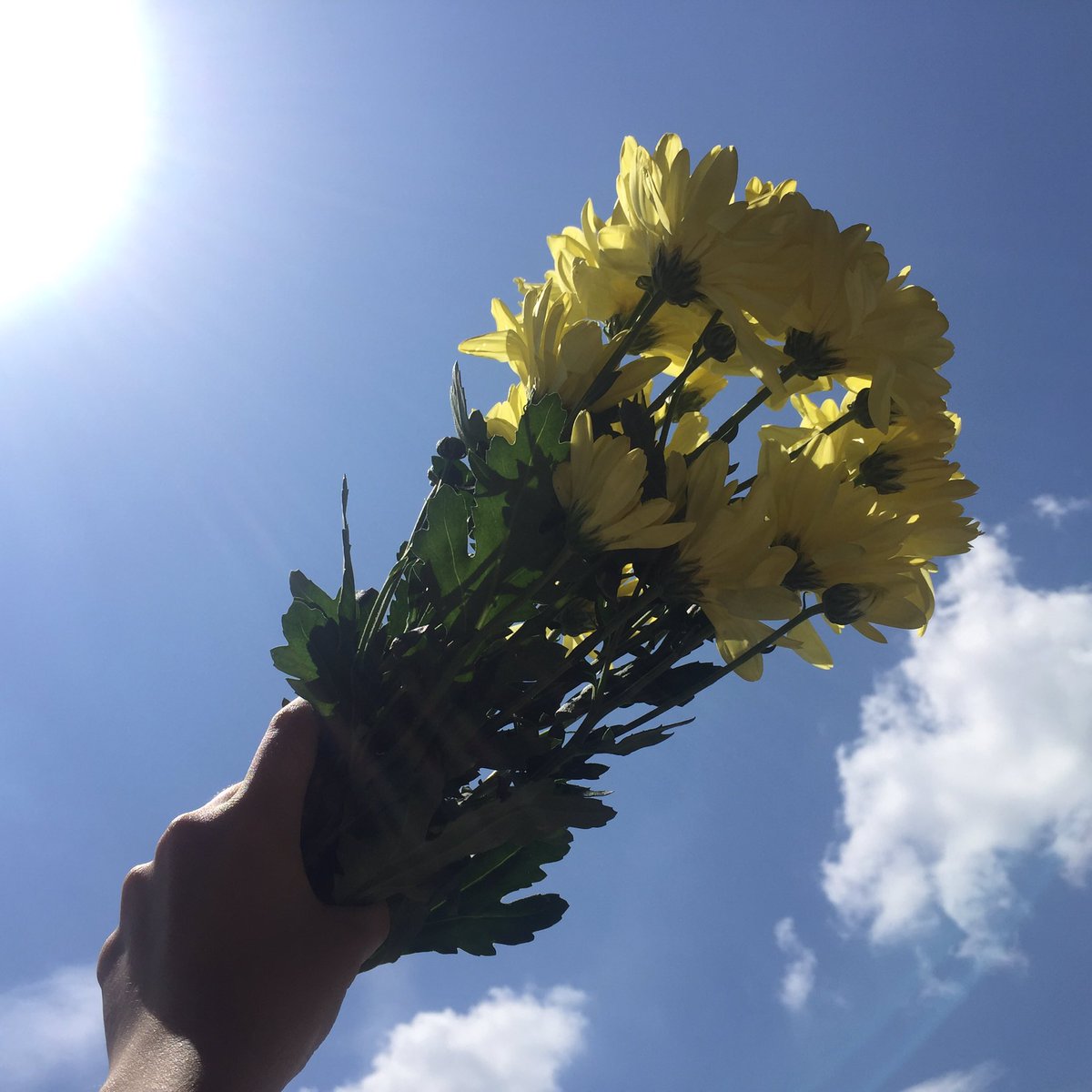 chaihonglum's tweet image. 🌼