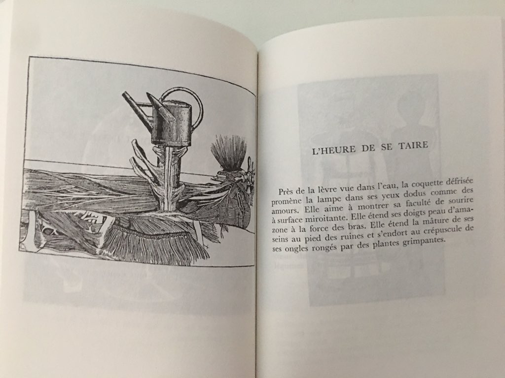 Another collaboration, this time between Paul Eluard and Max Ernst. I don’t think there’s an English edition yet. We need a daring indie publisher to set that right!