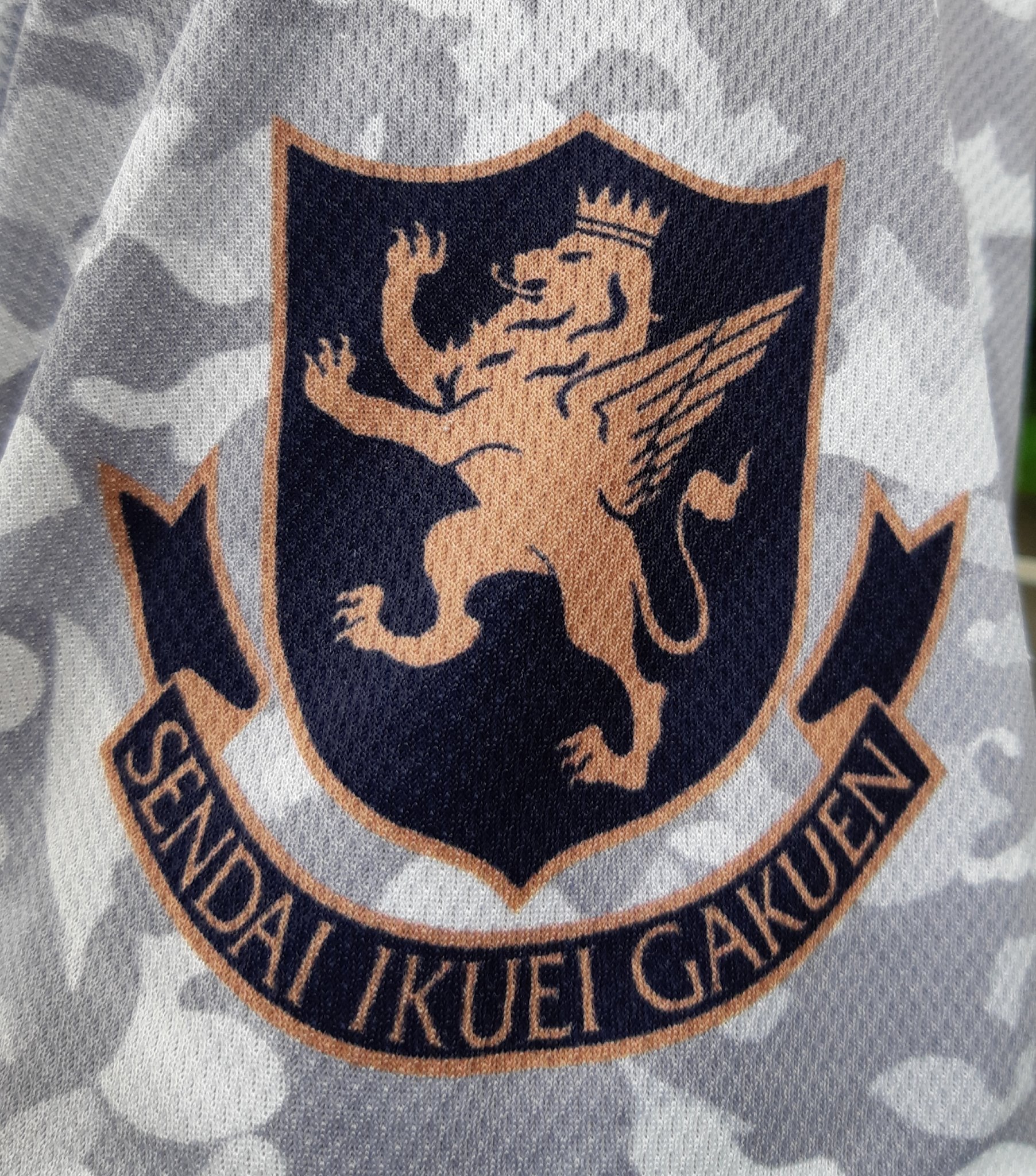 タッケー やっぱり仙台育英ライオンかっこいい T Co Zqv1iyirte Twitter