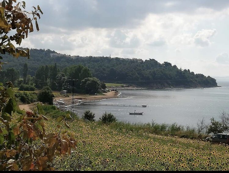 Ve Sazlıdere için 2004 yılında 12 saat  süren bir konser vermiştim.
O zaman mücadele kazanılmıştı.
Kurtulmuştuk.
Şimdi şirketler çok güçlü :(

Vatan sadece askerle korunmaz!

Vatan ağaçtır!
Vatan denizdir!
Vatan insanların sağlığını, doğasını
Vatan ülkenin güzelliğini korumaktır!