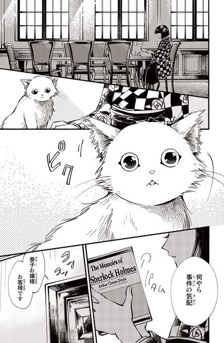 Tsukkoooさんのイラスト一覧 Tsukkoooさんのイラスト一覧
