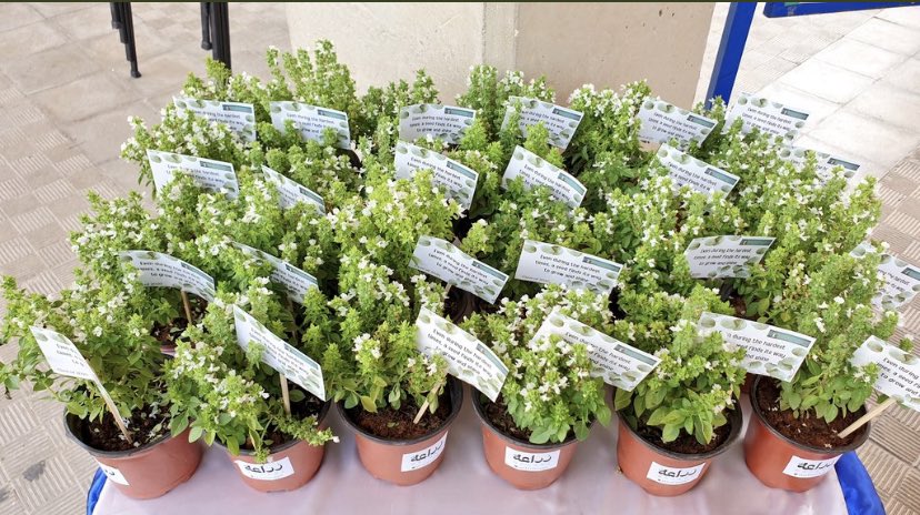 Big appreciation to <a href="/AsmaaKHAYAT/">Asmaa Khayat_SLP</a> our SEN coordinator and <a href="/RaniaHajIbrahim/">Rania Haj Ibrahim</a> our counselor for taking the initiative and putting together Grade 5 PYP themed graduation event. Celebrating moments of achievement matters! <a href="/Hhhsinfo/">Houssam Hariri HS</a>