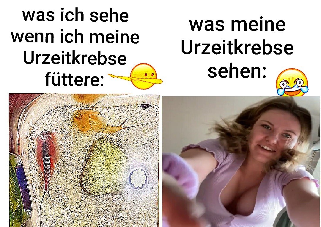 WZFBIS's tweet photo. @MissesVlog https://t.co/kvSbHJs3qf