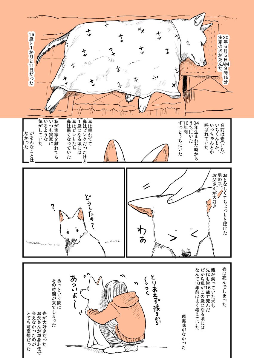 16年間一緒に生きてきた実家の犬が亡くなった話を描いた漫画が話題に 別れが寂しいからもう飼えない の声も Togetter