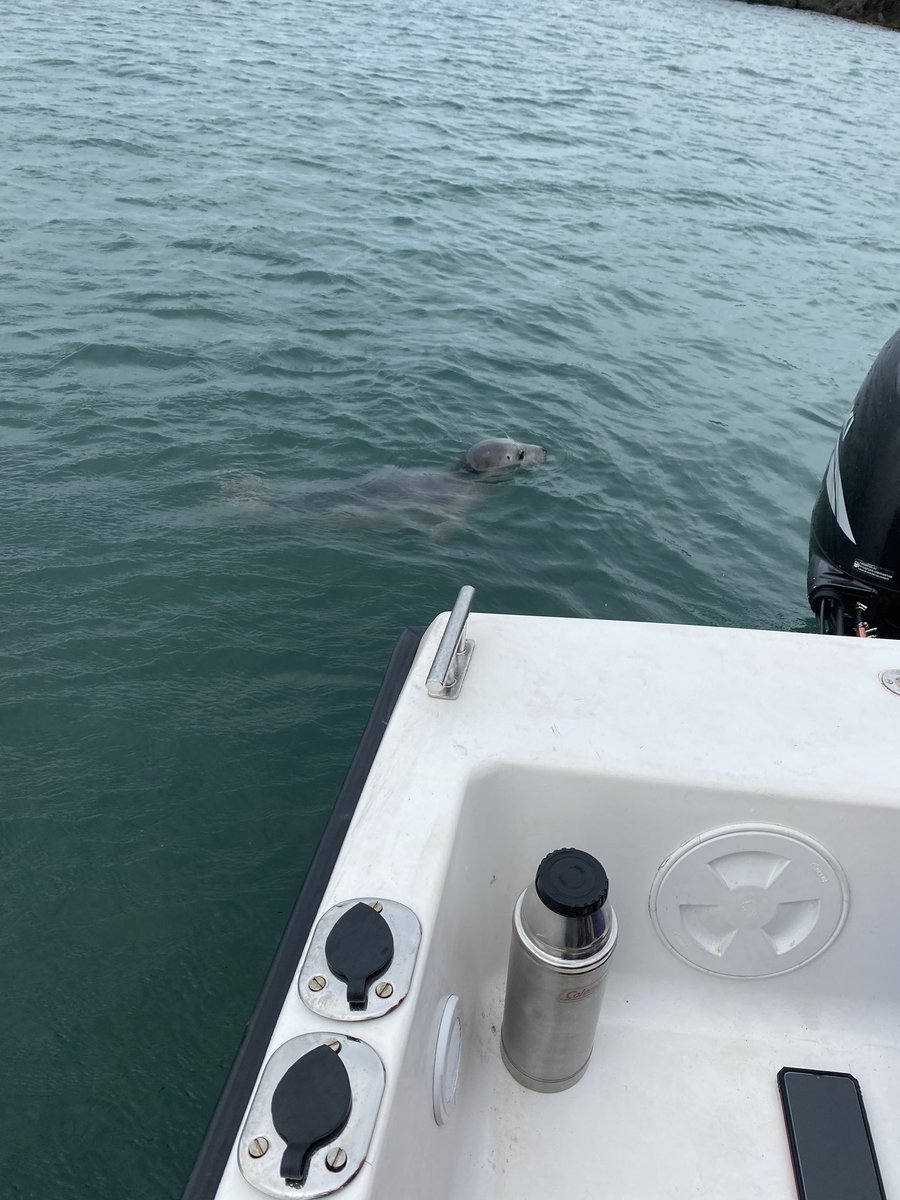 Amlwch Diving Services tweet media