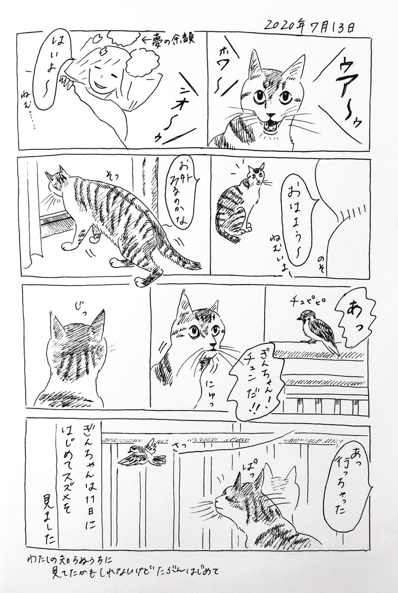 2020/7/13のぎんちゃん  #今日のぎんちゃん
スズメ記念日 