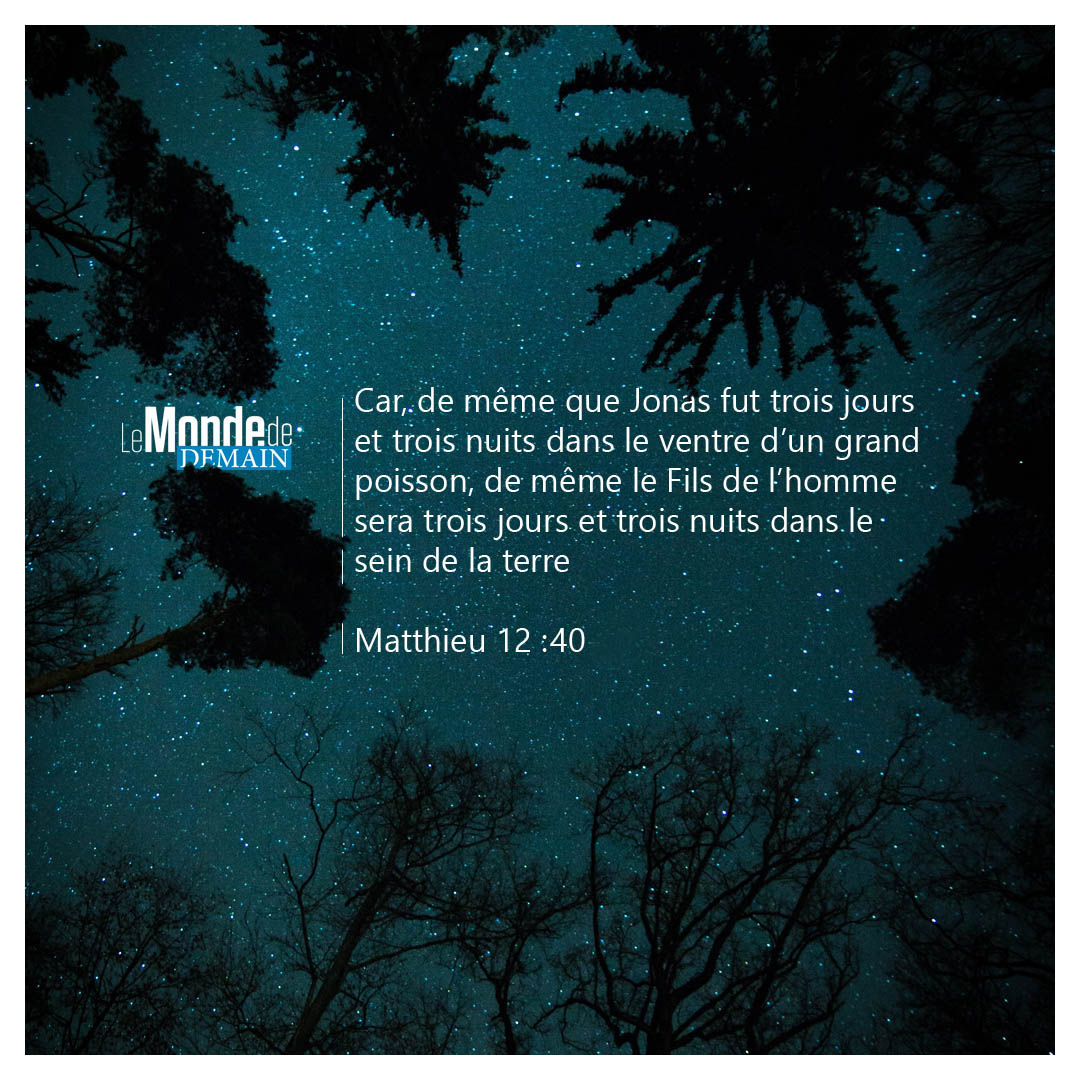 mondedemain's tweet photo. Pourquoi ne trouve-t-on aucune trace ou indication de la célébration du vendredi saint dans la Bible ?
Q&R - LE VENDREDI SAINT
2013 Avril-Juin
La rédaction
https://t.co/vYmUnzXPcc
#bible #foi #DailyBibleVerse #BibleVerse #BibleQuote #TWDaily #TomorrowsWorld #TomorrowsworldTV https://t.co/beQl0DFxuG