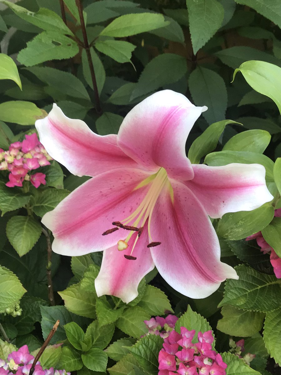 ForkingFabulous's tweet image. Thank you for speaking out about this topic, so many of us have been subjected to #AvoidableHarm on twitter &amp;amp; been discriminated against on the basis of age, sex, colour &amp;amp; disabilities.

Discrimination has no place in today’s society.  It’s time to stop divides &amp;amp; #HateCrimes now!