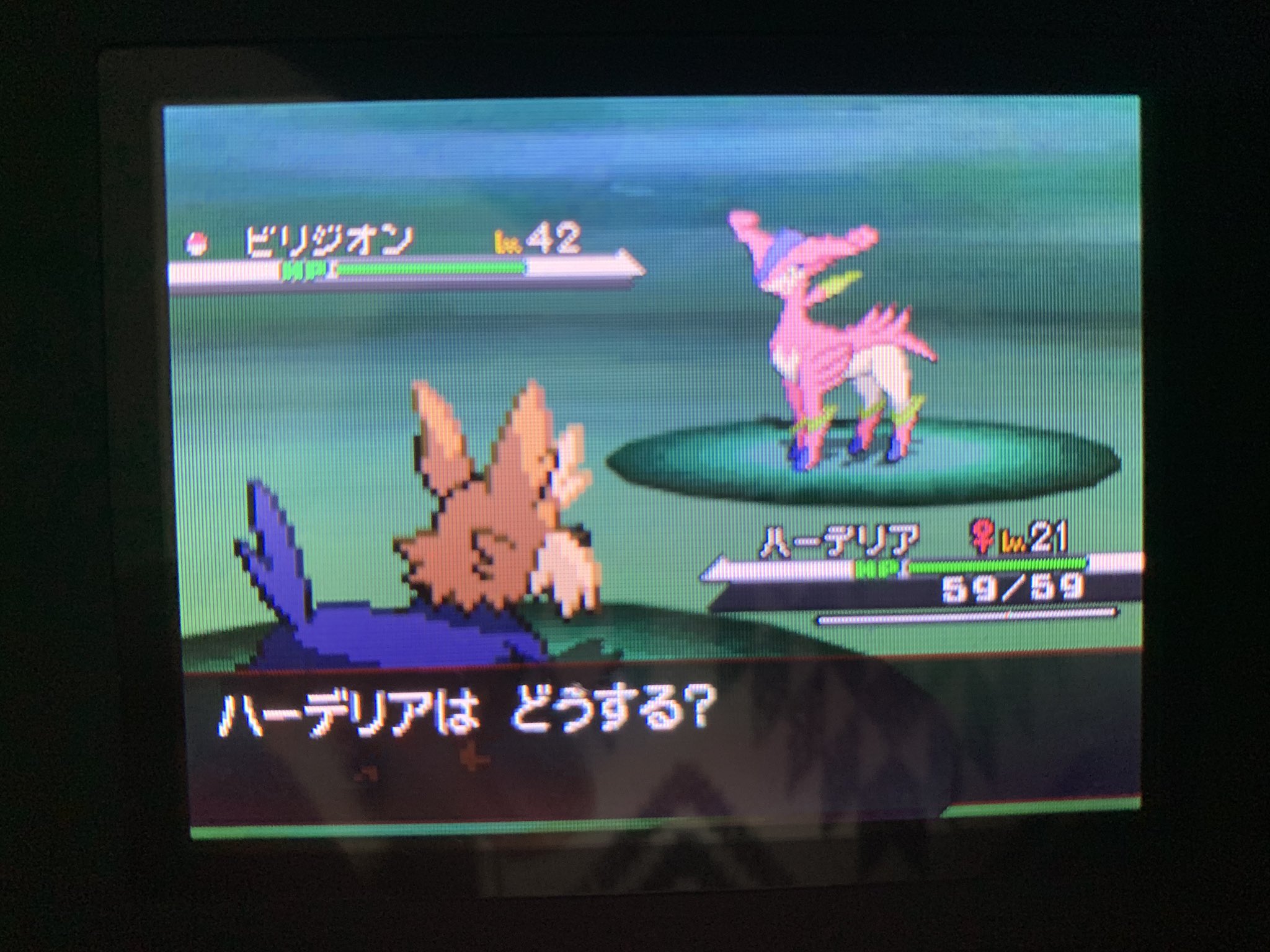 ひま Bw色違いの旅10匹目 春が来た なんか シキジカの親分みたいやなぁ くらいだった 捕まえたことがあるマークがあるのは ストーリーを早く進めるためにクリア済みロムから持って来てたからです T Co Jfsjycrpax Twitter