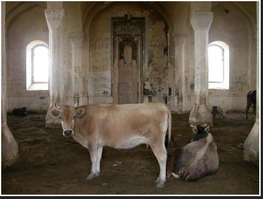 DrSalahudDin12's tweet image. یہ آرمینیا کی ادغام مسجد ہے
جس کو جانوروں کے باڑے میں تبدیل کر دیا گیا
کافروں کی ہمدردی میں مرتے ہوئے &quot;زبردستی&quot; کے مسلمانوں کو اس ظلم کا احساس ہوا کبھی؟؟؟؟