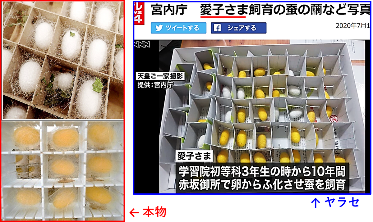 ぷに子 すぐに偽物とわかるお蚕さんの写真を 愛子様の育てられたもの として発表する宮内庁こそ 愛子様の名前に泥を塗るものではないでしょうか このいい加減な仕事ぶりに腹が立ちます