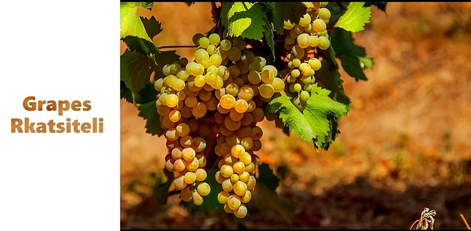 GeorgiaWineland's tweet photo. 🇬🇪Elite Georgian wine "Satrapezo Ice" Rkatsiteli
Wine: Marani Satrapeso Ice Rkatsiteli, White-sweet
Grapes: Rkatsiteli
manufacturer: Winery "Marani"
Region: Kakheti-Georgia
Volume: 0.375 L
Strenght: 10%
Price-From 20 https://t.co/PsOZvreDJc