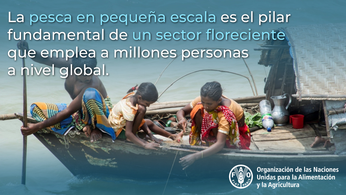 Únete a nuestro seminario virtual #DiálogosCOFI!

Iluminando las capturas ocultas: las contribuciones de la pesca en pequeña escala al desarrollo sostenible

🗓️ viernes, 17 de julio de 2020
🕛 13:00 – 14:30 CET
📌 fao.org/3/ca9806en/ca9…
🔗 fao.zoom.us/webinar/regist…