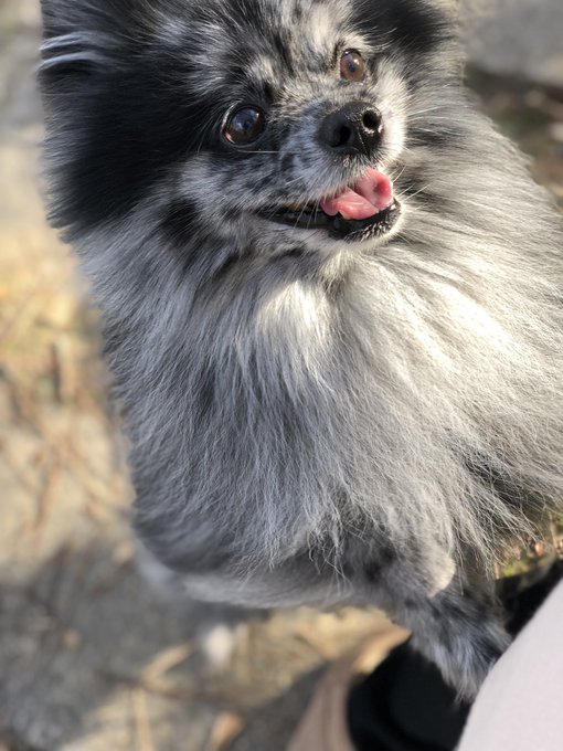 ブルーマールのtwitterイラスト検索結果 古い順 ブルーマールのtwitterイラスト検索結果 古い順