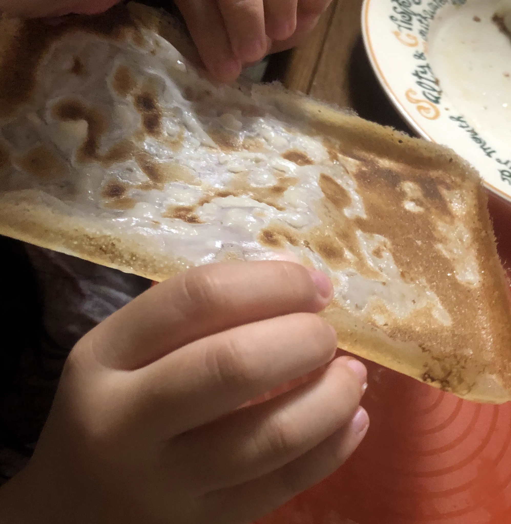 『餃子の羽だけ』焼いてみた！！お子さんが美味しそうに食べているｗｗｗ