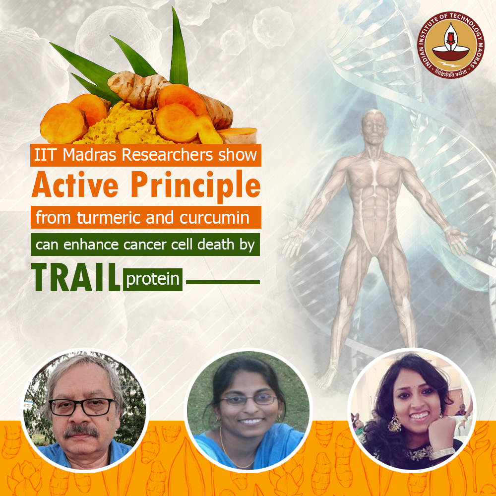 iitmadras's tweet photo. @iitmadras researchers show ‘Active Principle’ from #turmeric and curcumin can enhance #CancerCellDeath caused by a protein called #TRAIL (TNF-Related Apoptosis-Inducing Ligand)
@PIBHRD @HRDMinistry
#IITMResearch #Cancer #CancerResearch #FightingCancer #AntiCancer https://t.co/8X6ezry18b