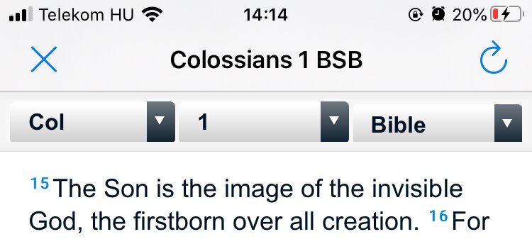 Again He is THE IMAGE of the invisible God . As per how you see yourself inside mirror , that picture of God is Jesus . Obviously not his physical representation but His nature , what He did through His death and resurrection.