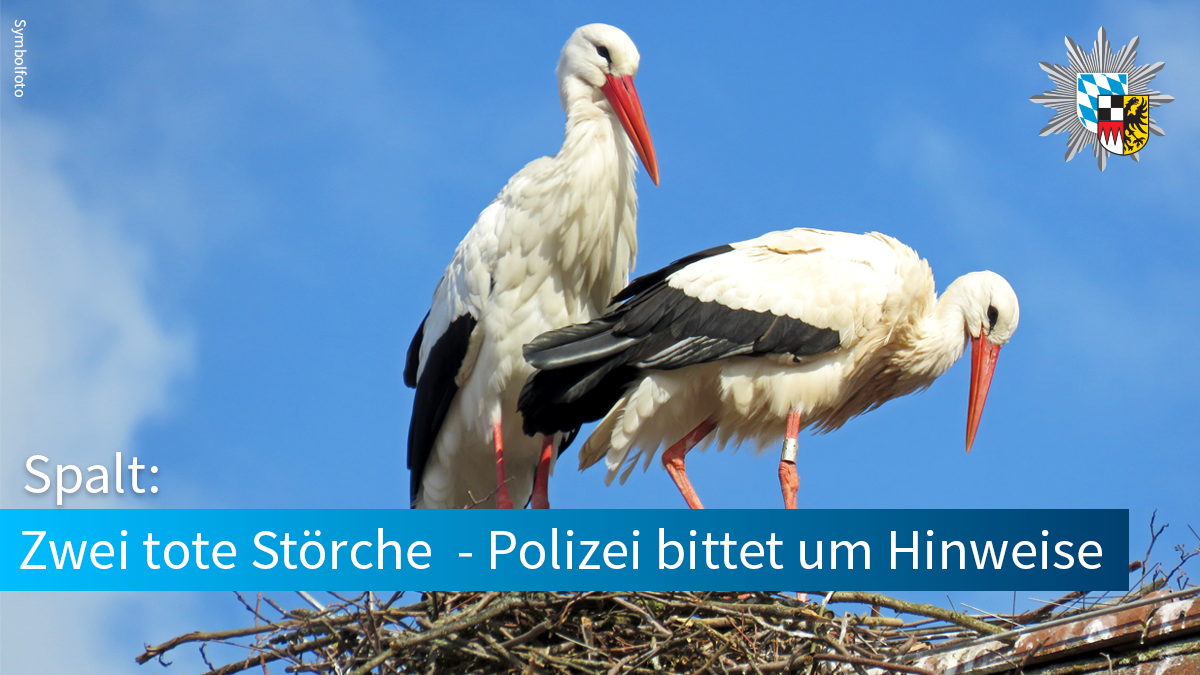 Polizei Mittelfranken tweet media