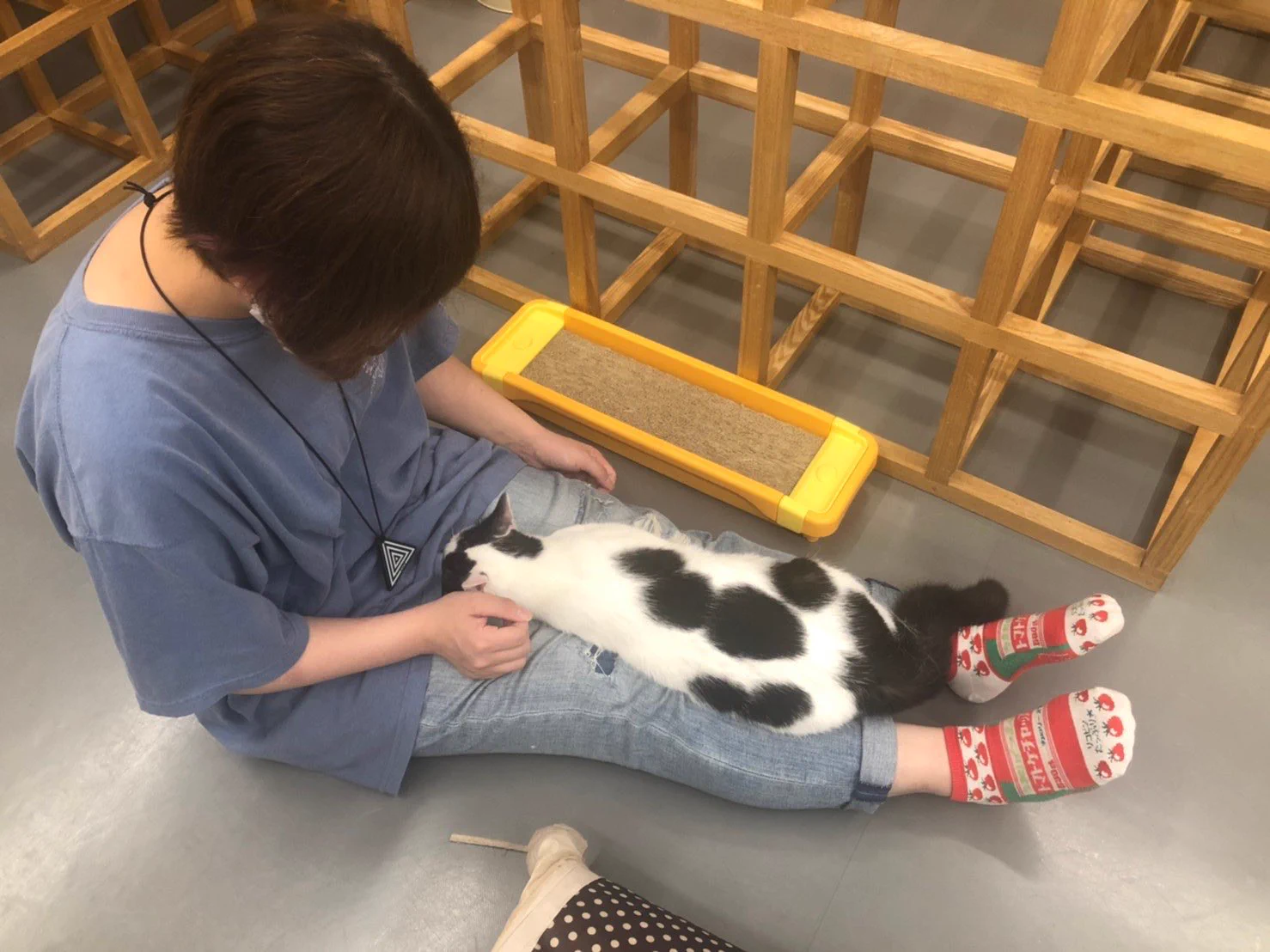 @uccokeico 同じ靴下持ってます！（笑）
あたしは先日、ケチャップ履いて猫カフェ行きました🤘 