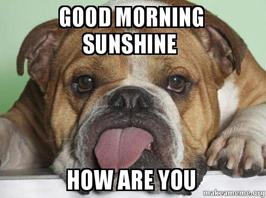 rolloverpets's tweet photo. Good Monday Morning friends. Wishing you all a great day. 
.
.
.
.
#wearyourmask😷 #petsupplystore #grooming #dogtraining #petnutrition #bonebar #dogtoys #cattoys #welovedogs #welovecats #petswelcome #uptownshelby #cityofshelby #Rolloverpets https://t.co/xlkXu16iKt