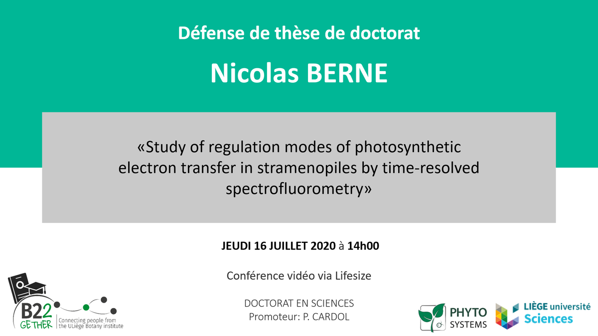 B22Gether's tweet photo. Next Thesis Defense of a B22 #PhDstudent 🙂
On the 16th of July, at 14h, Nicolas BERNE will defend his thesis entitled
« Study of regulation modes of photosynthetic electron transfer in stramenopiles by time-resolved spectrofluorometry » (thesis advisor: P. Cardol). https://t.co/okwJJoWfGd