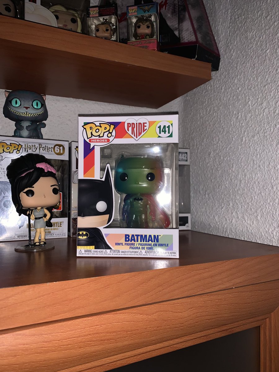 willow_gaga's tweet photo. Me he puto enamorado, quΓ© bonito es!!! #FunkoPop #BatmanPride β€οΈπ https://t.co/G5yhBmFtEU