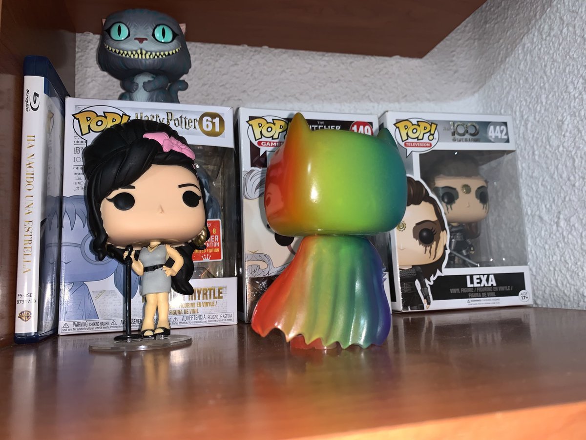 willow_gaga's tweet photo. Me he puto enamorado, quΓ© bonito es!!! #FunkoPop #BatmanPride β€οΈπ https://t.co/G5yhBmFtEU