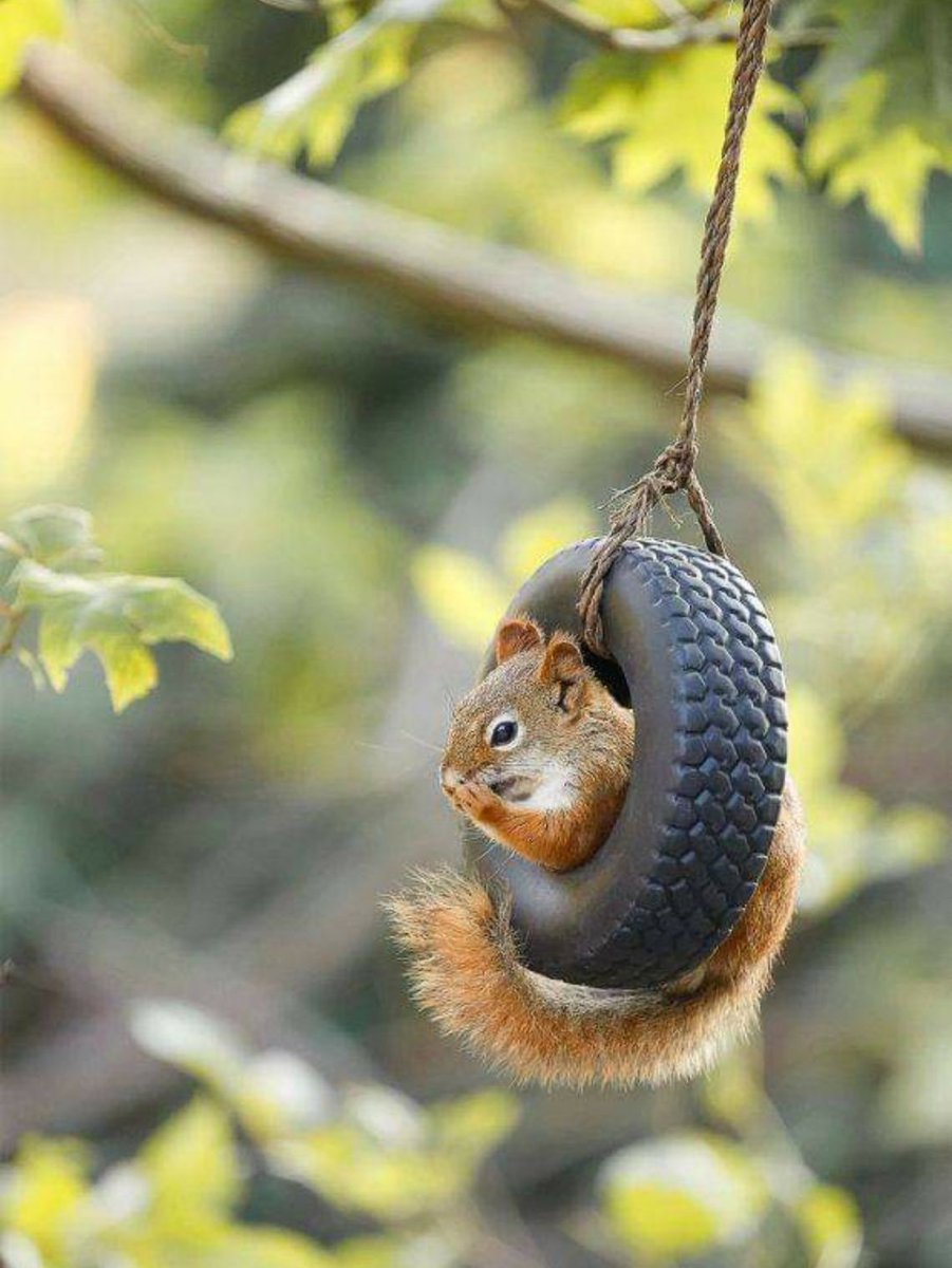 JcMercerJr's tweet image. Yep...