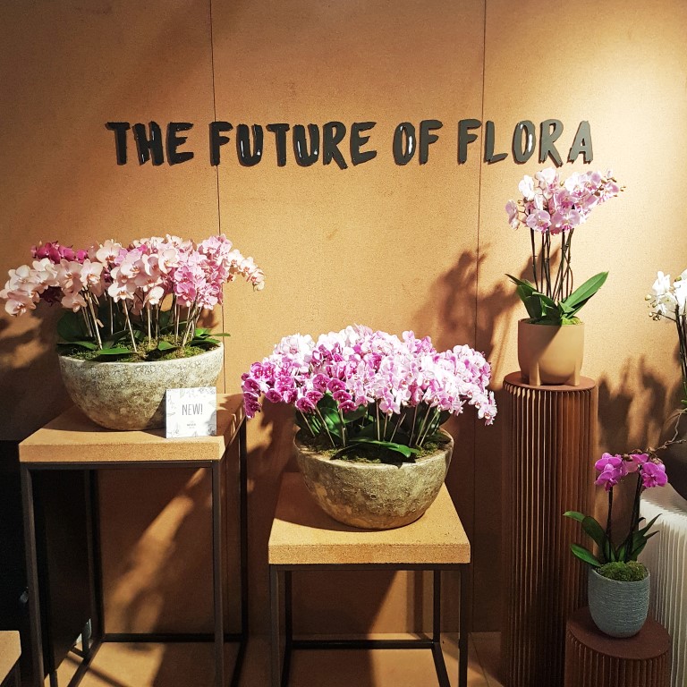 STOLK FLORA | Innovation in our range is crucial. This year Your Natural Orchid - <a href="/StolkFlora/">Stolk Flora - Your Natural Orchid</a> - is introducing five new segments with unique and unusual varieties under the name The Future of Flora.