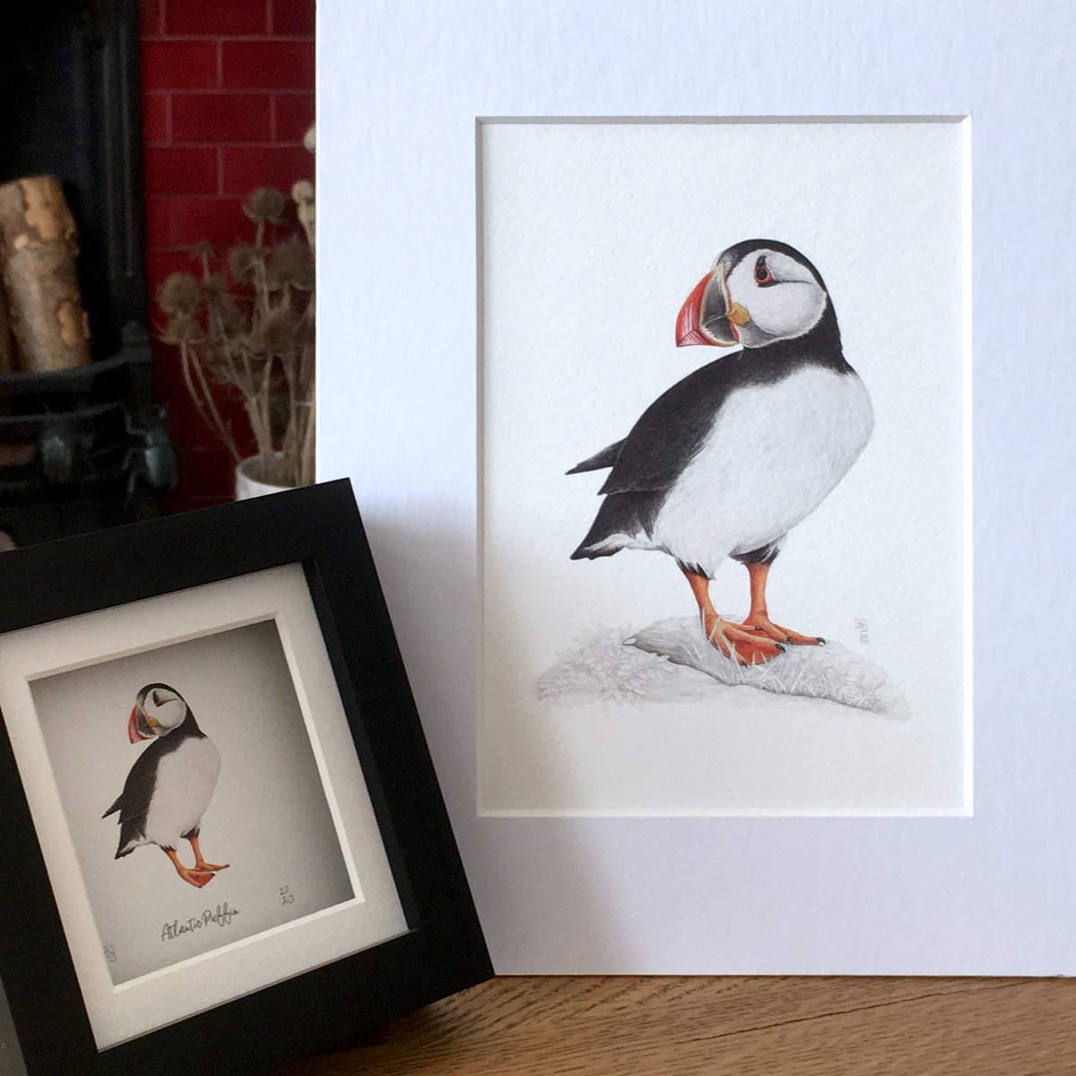 JennyHaslimeier's tweet photo. Now you can have your very own puffin print! View my latest puffin stuff - prints, pin badge and greeting cards! Now available in my web shop: https://t.co/Tg6hxDd1Oh
@VisitScotland @PromoteShetland #visitscotland #puffins #puffinmagic #lovepuffins #puffinart #promoteshetland https://t.co/StKhhSoxeJ