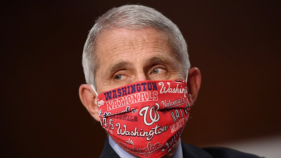 thehill's tweet photo. White House releases memo targeting Fauci as coronavirus cases surge https://t.co/90hlySEAyx https://t.co/NYr6oGhyTs