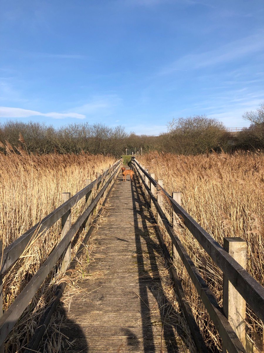 _ReDrink's tweet photo. @ILovesTheDiff Margam beach and nearby nature reserves. Sssshhh don’t tell everyone https://t.co/wYrgvaBqpk