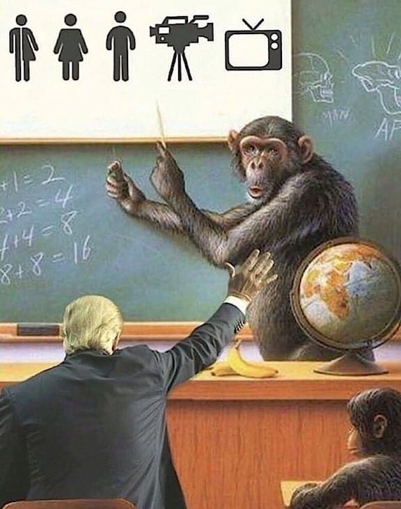 JamesASquires's tweet photo. @mmpadellan #MadDonald learned all he knows from chimp school.
#Trumplethinskin https://t.co/nrNqbzyKhx