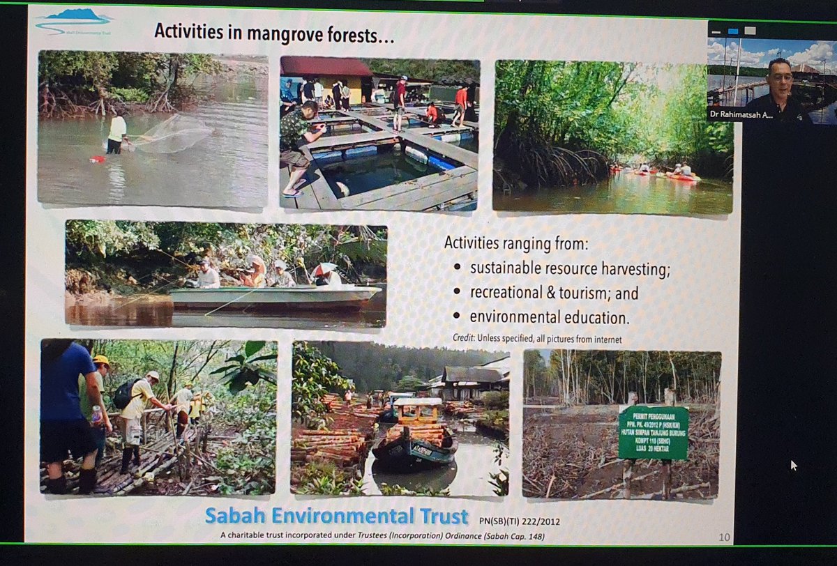 MamaforestP's tweet image. Conservationist Dr. Rahimatsah Amat from the Sabah International Trust highlights all activities happening around #Matang #Mangrove Forest Reserve on @akademisainsmy webinar celebrating #MangroveDay

@IUCN_Mangrove @sermlab @danfriess @ukm_lestari
